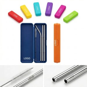 Straight & Bent Reusable Stainless Steel Straw Set with Colorful Silicone Tips